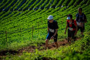 BIB: 2916, 200, 
                            <button type="button" onclick="openModal(19161170)" class="btn btn-primary btn-sm float-right btn-popup" data-toggle="modal" data-target=".modal-high-quality">
                        <i class="fas fa-shopping-cart"></i> Add to Cart
                    </button>
                                            <button type="button" onclick="isThisMe(19161170, true)" class="btn btn-success btn-sm float-right btn-popup btn-isme hidden" data-toggle="tooltip" data-placement="bottom" title="นี่คือรูปของคุณใช่ไหม คลิกที่นี่เพื่อเอาเข้าอัลบั้ม">
                        <i class="fas fa-plus"></i> Add to album
                    </button>
                    <button type="button" onclick="isThisMe(19161170, false)" class="btn btn-warning btn-sm float-right btn-popup btn-isnotme hidden">
                        <i class="fas fa-ban"></i> Remove from album
                    </button>